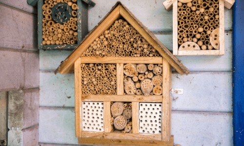 domki dla pszczol (1)