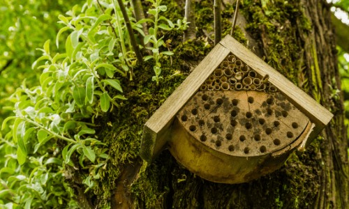domki dla pszczol (2) (1)